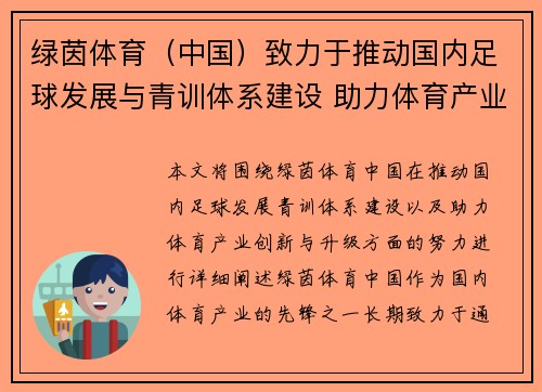 绿茵体育（中国）致力于推动国内足球发展与青训体系建设 助力体育产业创新与升级